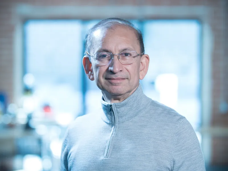 Milind Karnik, CEO